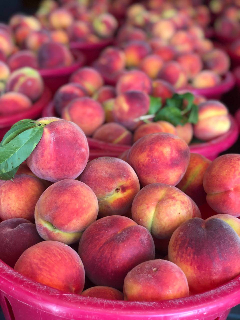 Baskets of Bennett Peaches and a beautiful array of yellow, red and green. 